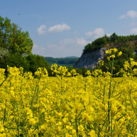 Region Südharz Kyffhäuser 12