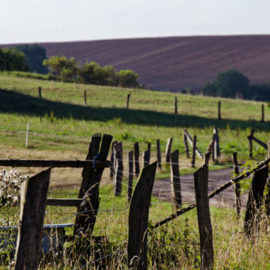 Region Südharz Kyffhäuser 2